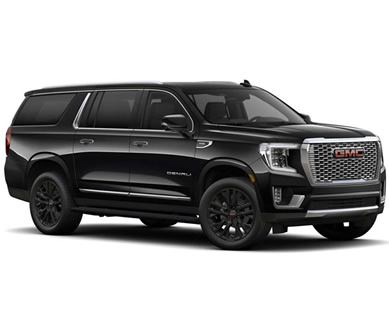 Ambulatory Van image